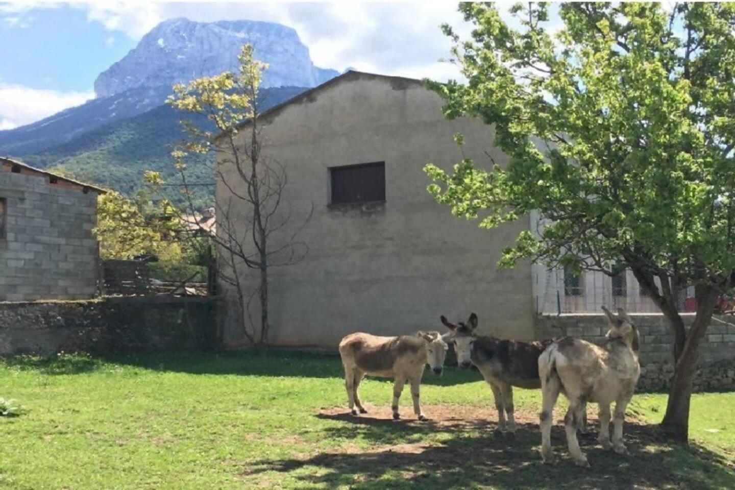 Duplex La Valle Ordesaainsa Laspuña Exteriör bild